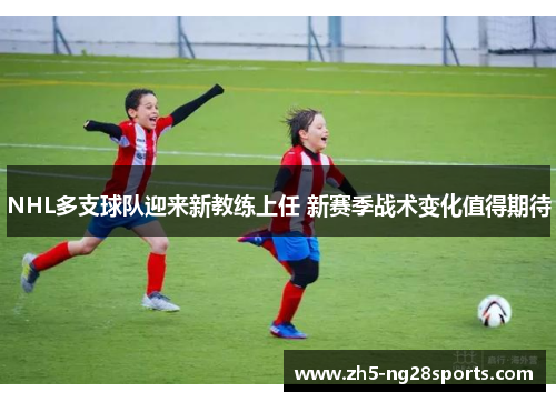 NHL多支球队迎来新教练上任 新赛季战术变化值得期待