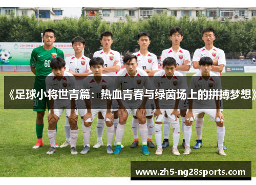 《足球小将世青篇：热血青春与绿茵场上的拼搏梦想》