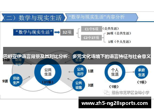 巴舒亚伊语言背景及其对比分析：多元文化语境下的语言特征与社会意义